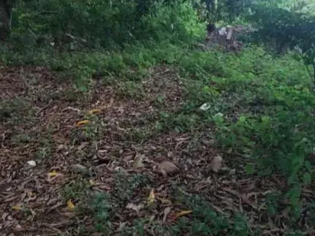 Terreno em Condomínio para Venda em Camaçari/BA Itacimirim