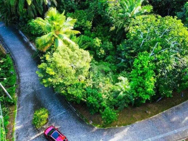 Terreno em Condomínio para Venda em Mata de São João/BA Reserva da Sapiranga