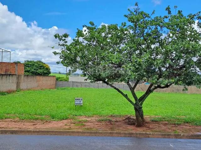 Terreno em Condomínio para Venda em Mirassol/SP Residencial Ângelo Brandimarte