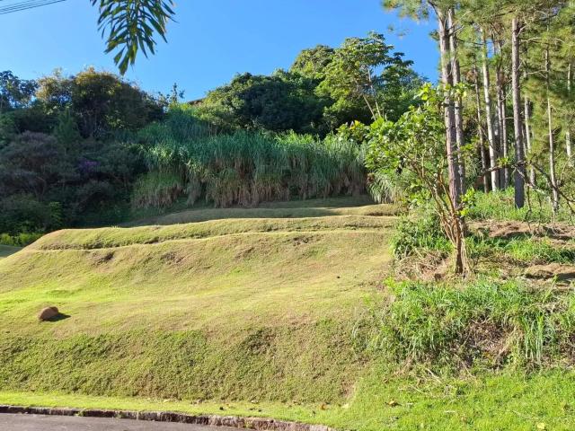 Terreno em Condomínio para Venda em Monte Alegre do Sul/SP Condomínio Fazenda Orypaba