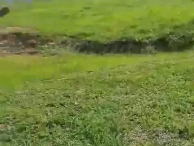 Terreno em Condomínio para Venda em Monte Mor/SP Jardim Itapoan