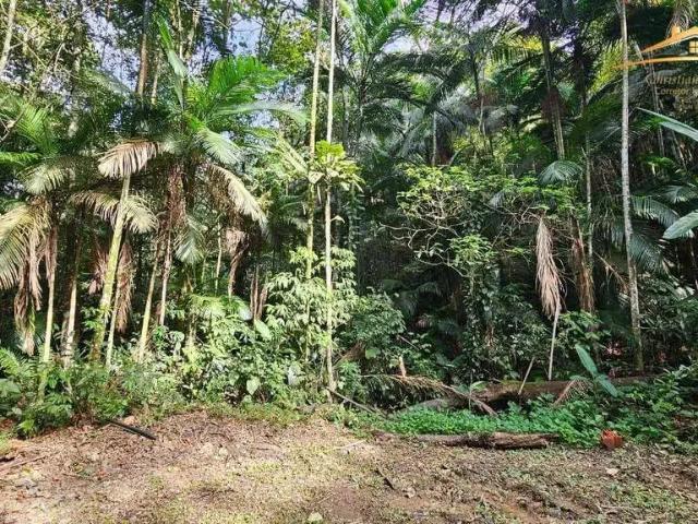 Terreno em Condomínio para Venda em Morretes/PR Rio Sagrado