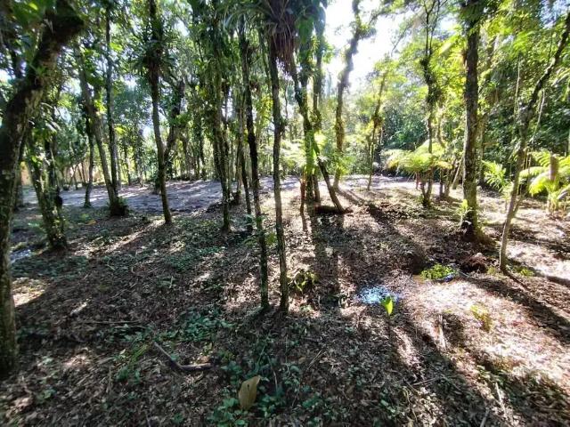 Terreno em Condomínio para Venda em Morretes/PR Vila Itaperuçu