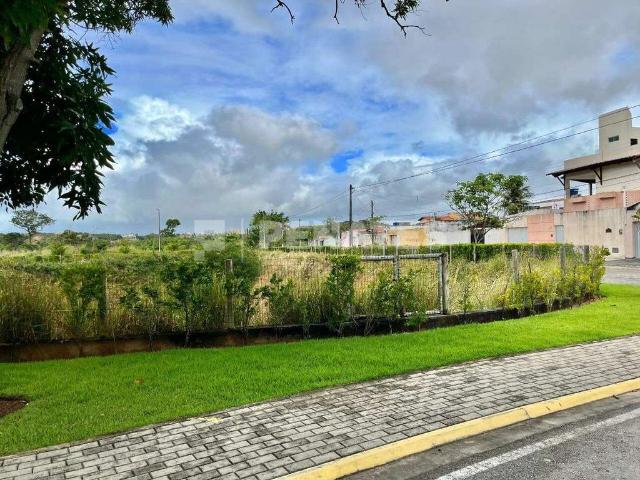 Terreno em Condomínio para Venda em Natal/RN Pitimbu