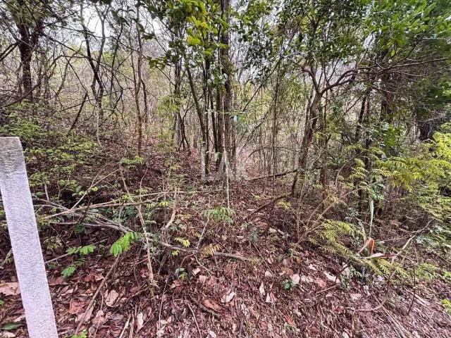 Terreno em Condomínio para Venda em Nova Lima/MG Vereda das Gerais
