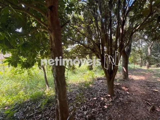 Terreno em Condomínio para Venda em Nova Lima/MG Vereda das Gerais