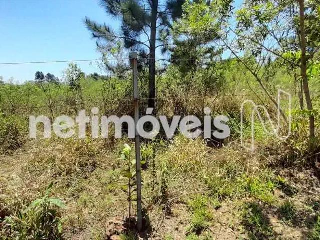 Terreno em Condomínio para Venda em Nova Lima/MG Vila Alpina