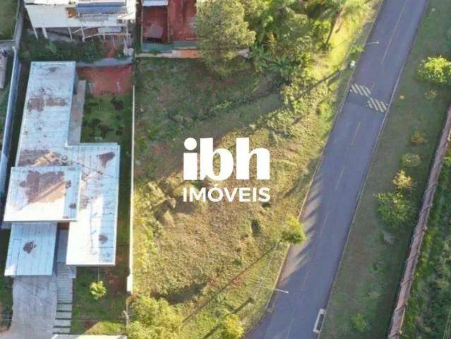 Terreno em Condomínio para Venda em Nova Lima/MG Alphaville