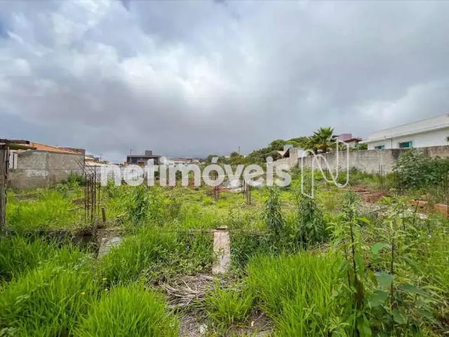 Terreno em Condomínio para Venda em Nova Lima/MG Balneário Água Limpa