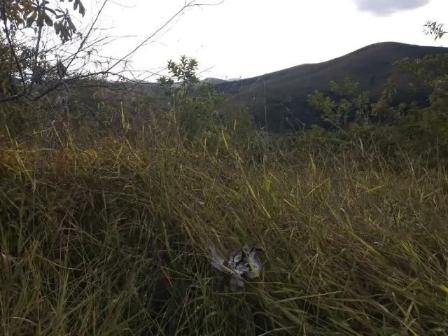 Terreno em Condomínio para Venda em Nova Lima/MG Condomínio Arvoredo