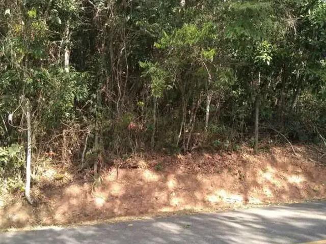 Terreno em Condomínio para Venda em Nova Lima/MG Condomínio Arvoredo