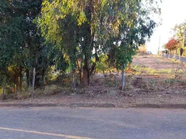 Terreno em Condomínio para Venda em Nova Lima/MG Pau Pombo