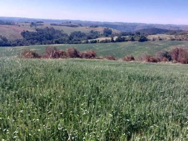 Terreno em Condomínio para Venda em Nova Tebas/PR Zona Rural