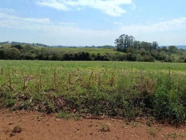 Terreno em Condomínio para Venda em Nova Tebas/PR Zona Rural