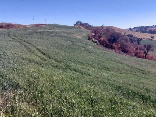Terreno em Condomínio para Venda em Nova Tebas/PR Zona Rural