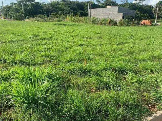 Terreno em Condomínio para Venda em Palestina/SP Zona Rural