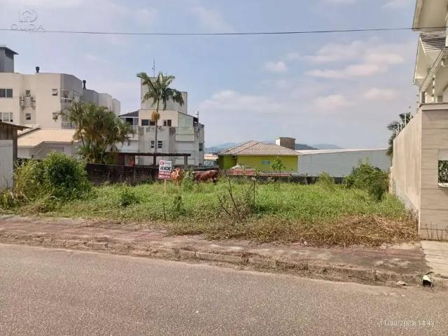 Terreno em Condomínio para Venda em Palhoça/SC Pedra Branca