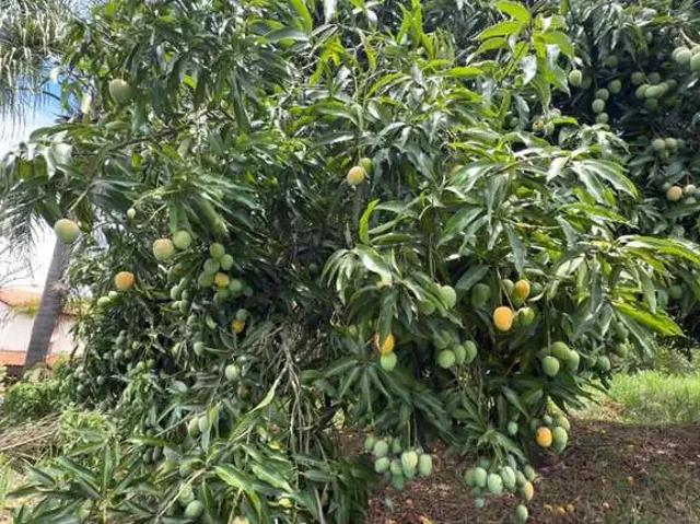 Terreno em Condomínio para Venda em Paranapanema/SP Terras de Jurumirim