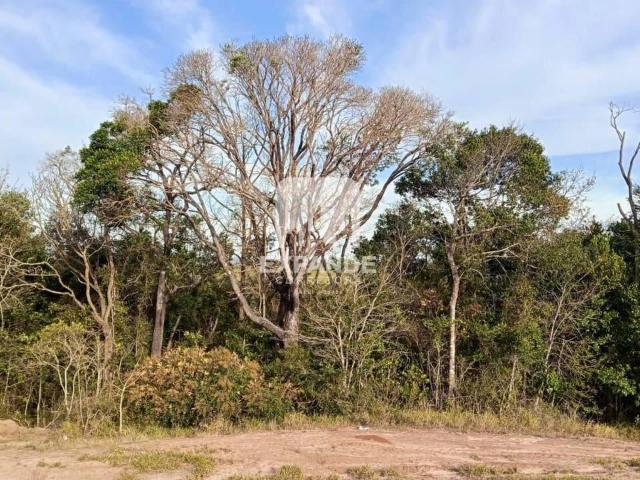 Terreno em Condomínio para Venda em Pardinho/SP Ninho Verde II