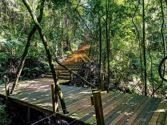 Terreno em Condomínio para Venda em Pardinho/SP Ninho Verde II