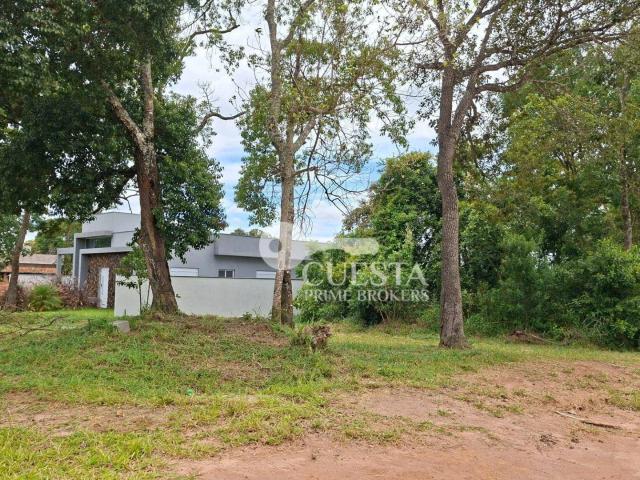 Terreno em Condomínio para Venda em Pardinho/SP Ninho Verde