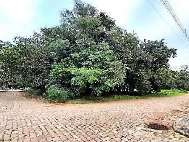 Terreno em Condomínio para Venda em Passo Fundo/RS Vila Lucas Araújo