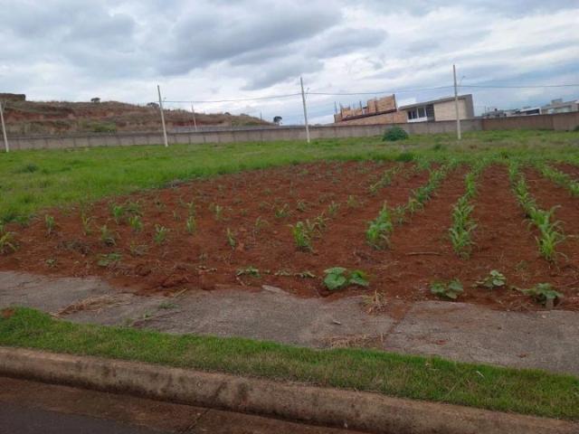 Terreno em Condomínio para Venda em Patos de Minas/MG Alto dos Caiçaras