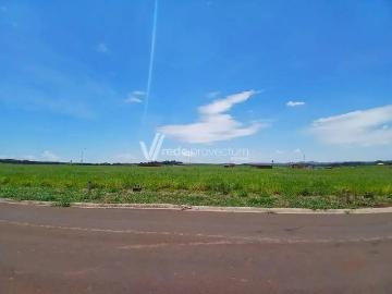 Terreno em Condomínio para Venda em Paulínia/SP Betel