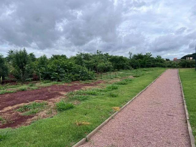 Terreno em Condomínio para Venda em Paulínia/SP Betel