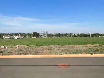 Terreno em Condomínio para Venda em Paulínia/SP Betel
