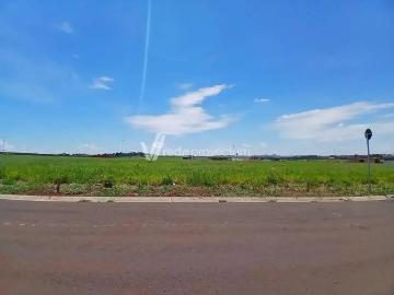 Terreno em Condomínio para Venda em Paulínia/SP Betel