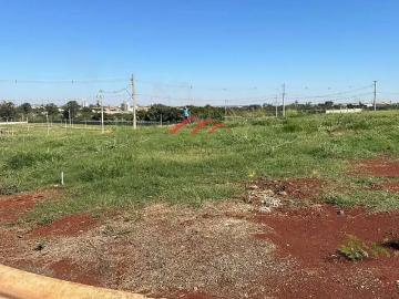 Terreno em Condomínio para Venda em Paulínia/SP Betel