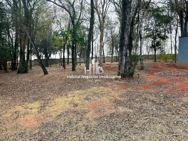 Terreno em Condomínio para Venda em Paulínia/SP Boa Esperança