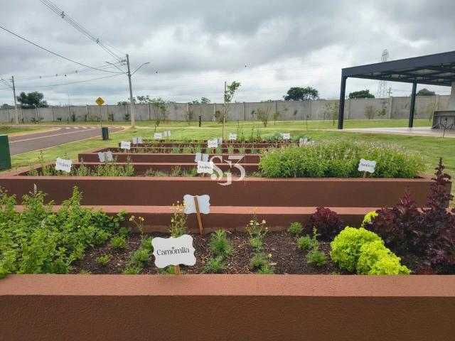 Terreno em Condomínio para Venda em Paulínia/SP Jardim Fortaleza