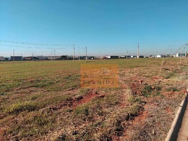Terreno em Condomínio para Venda em Paulínia/SP Jardim Flamboyant