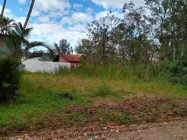 Terreno em Condomínio para Venda em Peruíbe/SP Jardim São Luis