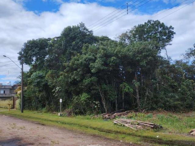 Terreno em Condomínio para Venda em Peruíbe/SP Jardim São Luis