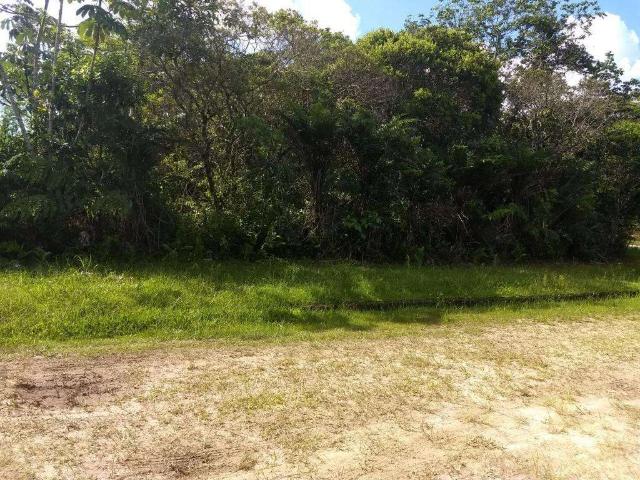 Terreno em Condomínio para Venda em Peruíbe/SP Jardim São Luis