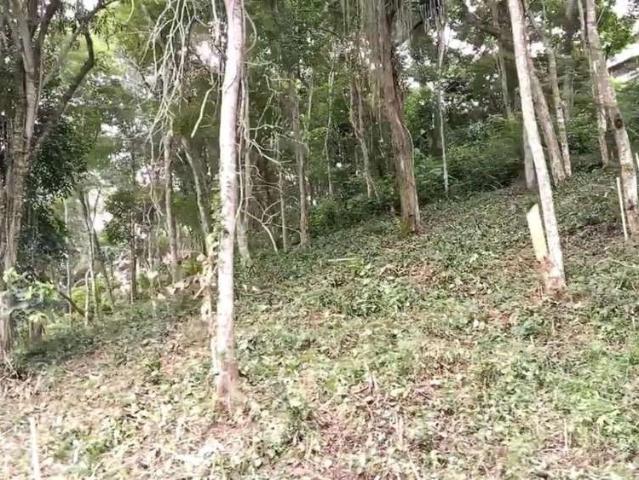 Terreno em Condomínio para Venda em Petrópolis/RJ Itaipava