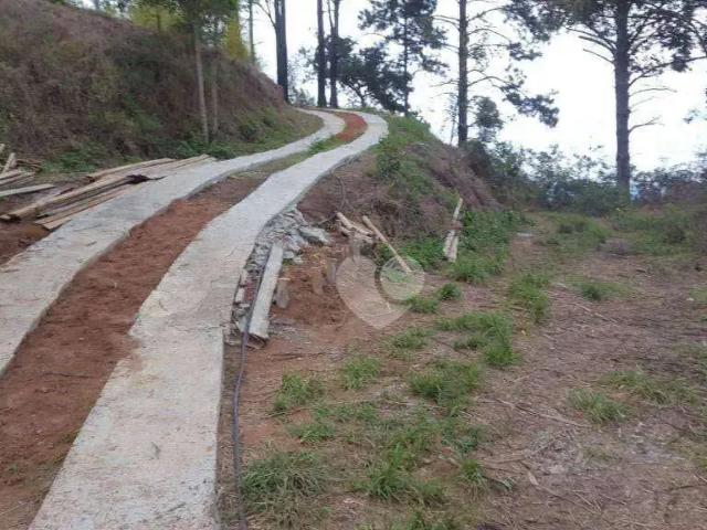 Terreno em Condomínio para Venda em Petrópolis/RJ Itaipava
