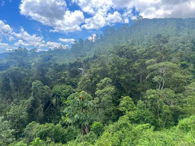Terreno em Condomínio para Venda em Petrópolis/RJ Quarteirão Ingelheim