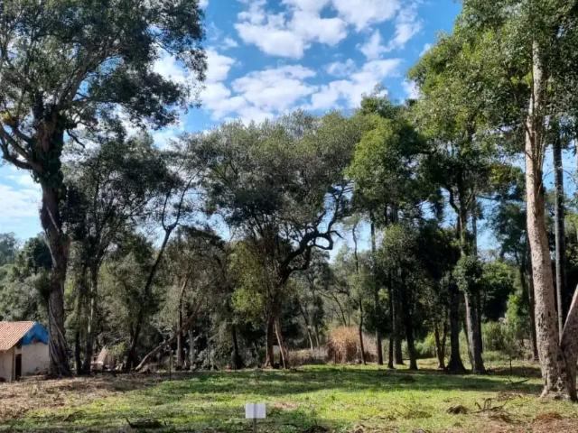 Terreno em Condomínio para Venda em Pinhais/PR Jardim Karla