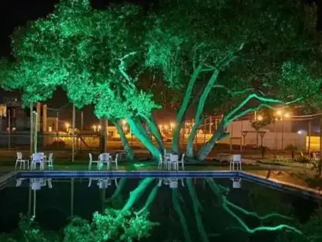 Terreno em Condomínio para Venda em Piaçabuçu/AL Praia do Pontal do Peba