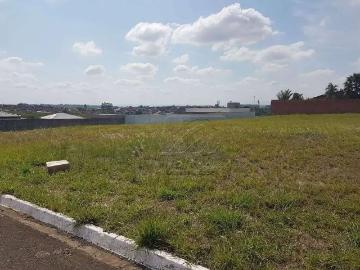 Terreno em Condomínio para Venda em Piracicaba/SP Campestre