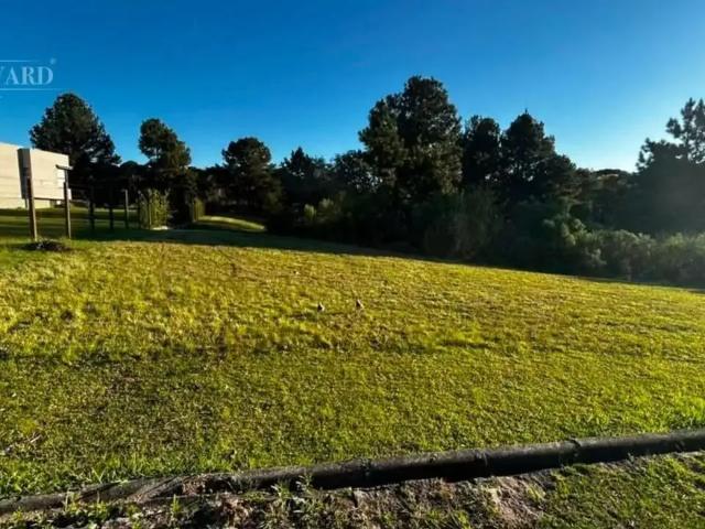 Terreno em Condomínio para Venda em Piraquara/PR Planta Laranjeiras