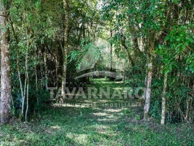 Terreno em Condomínio para Venda em Ponta Grossa/PR Contorno