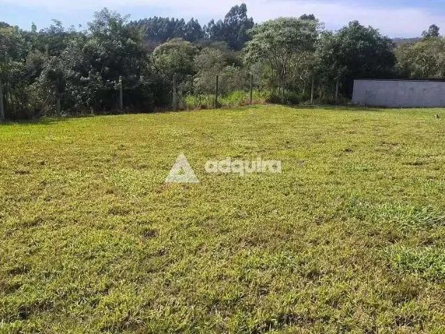 Terreno em Condomínio para Venda em Ponta Grossa/PR Contorno