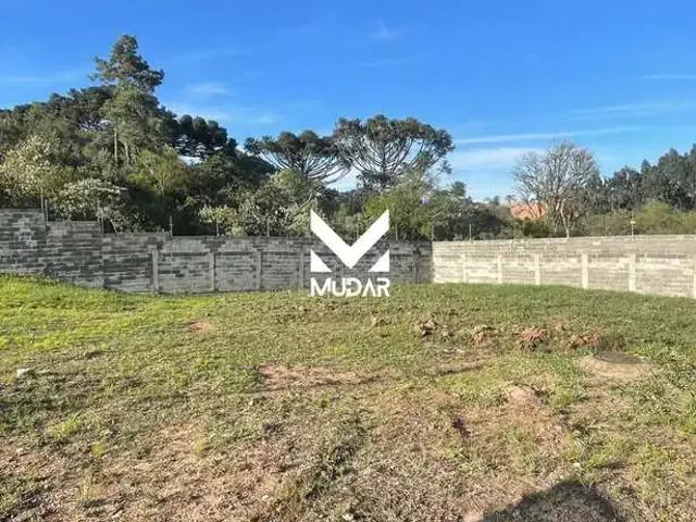 Terreno em Condomínio para Venda em Ponta Grossa/PR Contorno