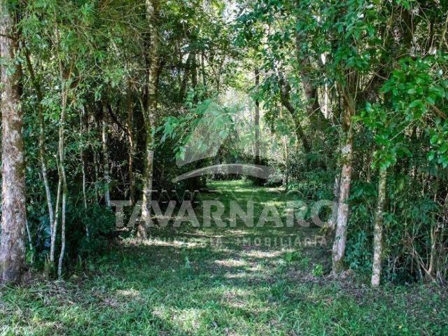 Terreno em Condomínio para Venda em Ponta Grossa/PR Contorno