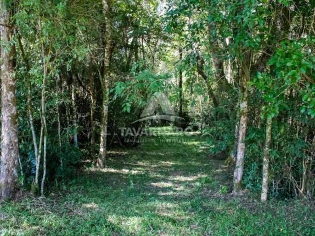 Terreno em Condomínio para Venda em Ponta Grossa/PR Contorno